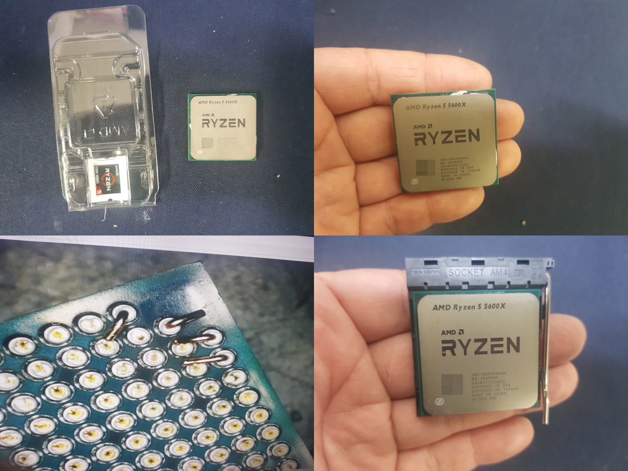 Ryzen 5 5600X